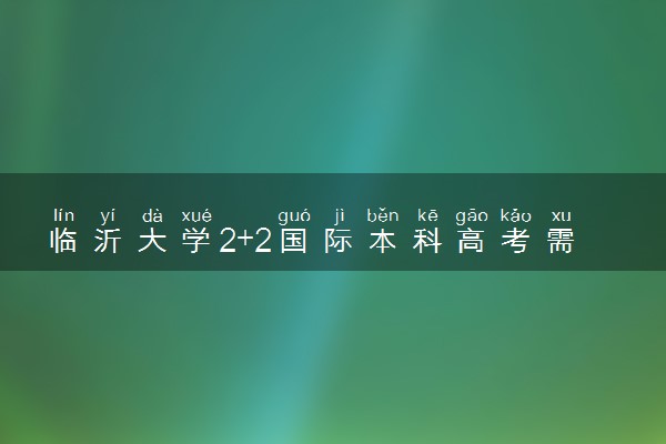 临沂大学2+2国际本科高考需要多少分 得准备什么材料