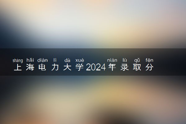 上海电力大学2024年录取分数线 各专业录取最低分及位次