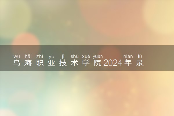 乌海职业技术学院2024年录取分数线 各专业录取最低分及位次