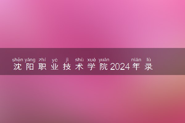 沈阳职业技术学院2024年录取分数线 各专业录取最低分及位次