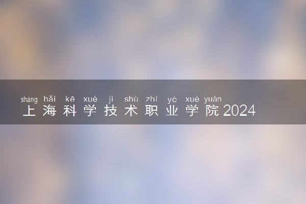 上海科学技术职业学院2024年录取分数线 各专业录取最低分及位次
