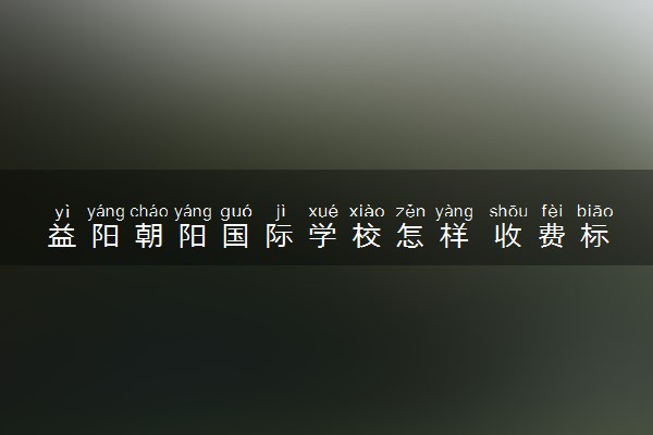 益阳朝阳国际学校怎样 收费标准是什么