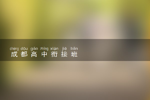 成都高中衔接班