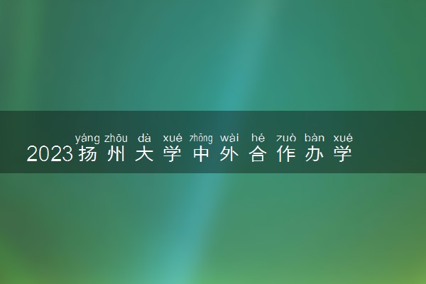 2023扬州大学中外合作办学录取分数线 最低多少分能上