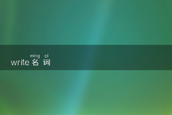 write名词
