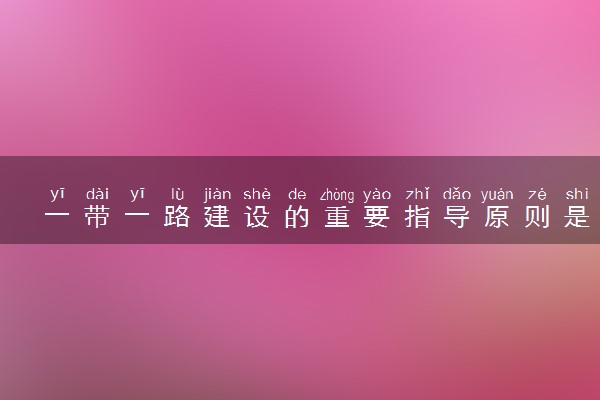 一带一路建设的重要指导原则是