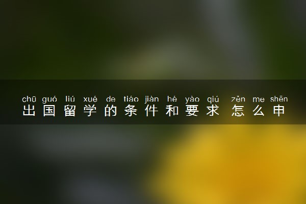 出国留学的条件和要求 怎么申请