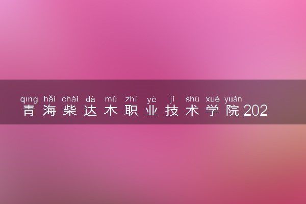 青海柴达木职业技术学院2024年录取分数线 各专业录取最低分及位次