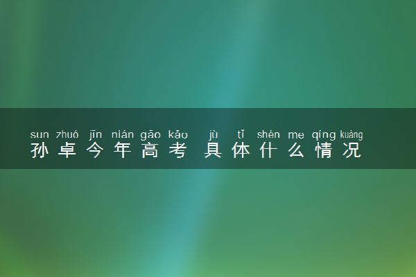 孙卓今年高考 具体什么情况