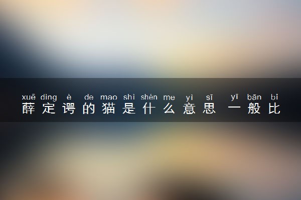 薛定谔的猫是什么意思 一般比喻什么