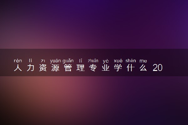 人力资源管理专业学什么 2024就业前景怎么样