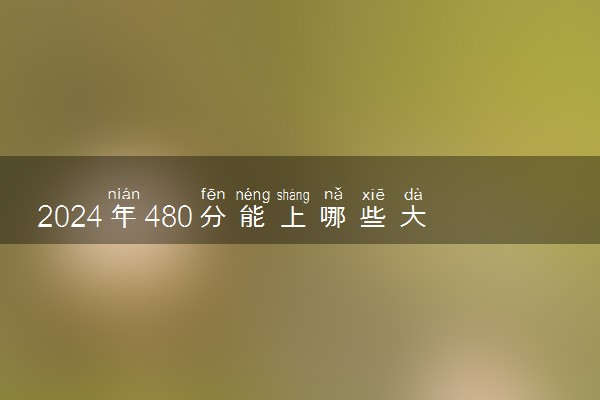 2024年480分能上哪些大学 哪些院校实力强值得报