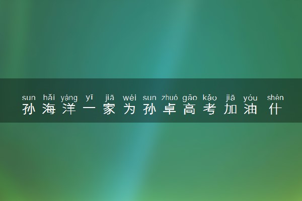 孙海洋一家为孙卓高考加油 什么情况