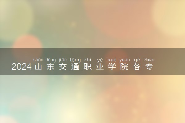 2024山东交通职业学院各专业录取分数线及位次 各省录取最低分是多少