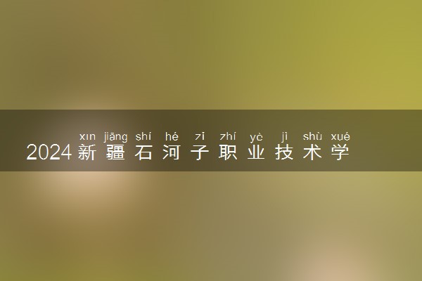2024新疆石河子职业技术学院各专业录取分数线及位次 各省录取最低分是多少