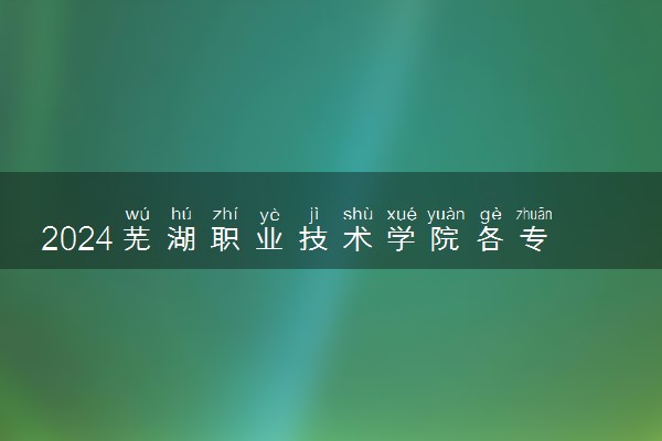 2024芜湖职业技术学院各专业录取分数线及位次 各省录取最低分是多少