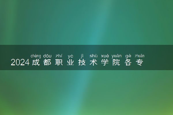 2024成都职业技术学院各专业录取分数线及位次 各省录取最低分是多少