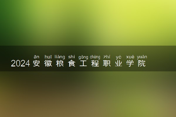 2024安徽粮食工程职业学院各专业录取分数线及位次 各省录取最低分是多少