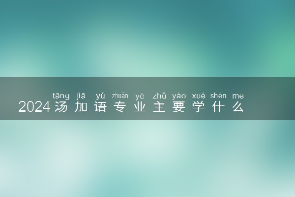 2024汤加语专业主要学什么课程 就业前景及方向有哪些
