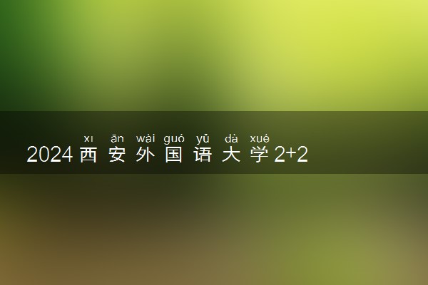 2024西安外国语大学2+2国际本科招生专业有什么