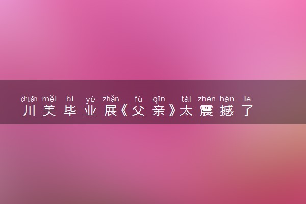 川美毕业展《父亲》太震撼了 具体什么情况