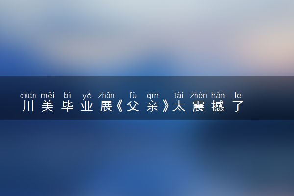 川美毕业展《父亲》太震撼了 背后的创作故事是怎么回事
