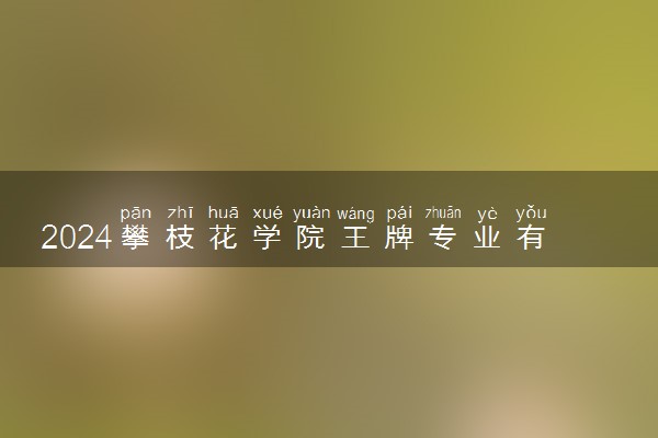 2024攀枝花学院王牌专业有哪些 最好的专业是什么