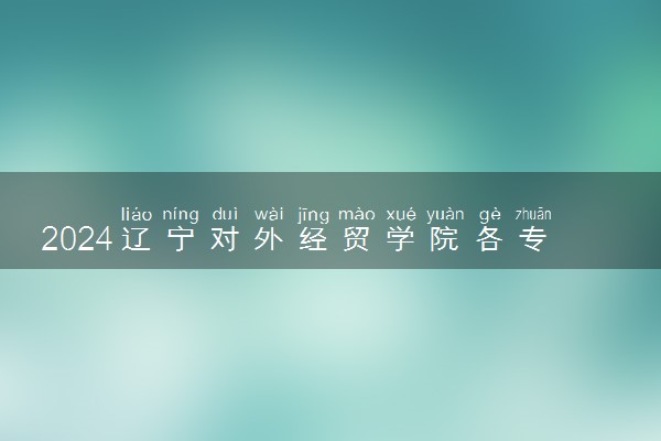 2024辽宁对外经贸学院各专业录取分数线及位次 各省录取最低分是多少