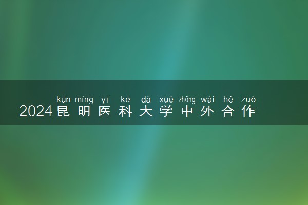 2024昆明医科大学中外合作办学专业学费多少钱