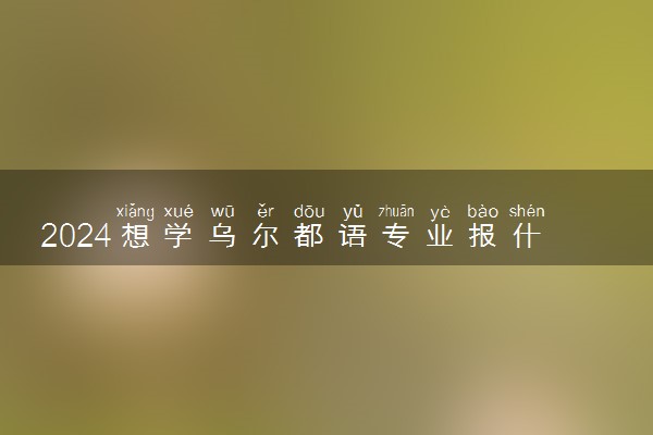 2024想学乌尔都语专业报什么学校 哪个大学好