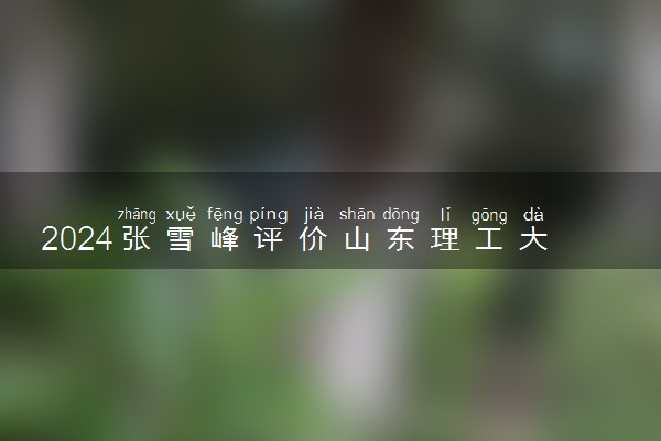 2024张雪峰评价山东理工大学怎么样 什么档次多少分能上