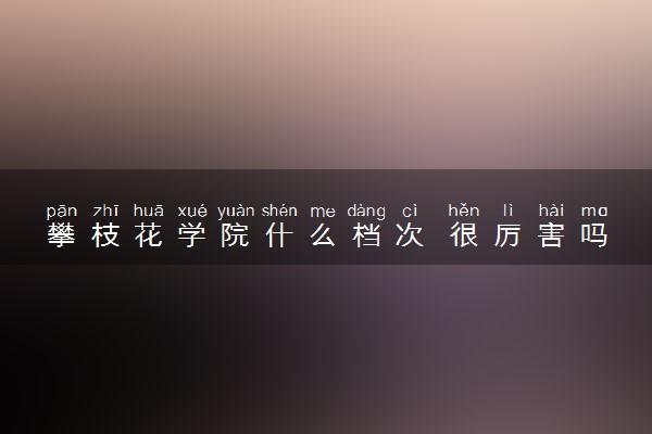 攀枝花学院什么档次 很厉害吗