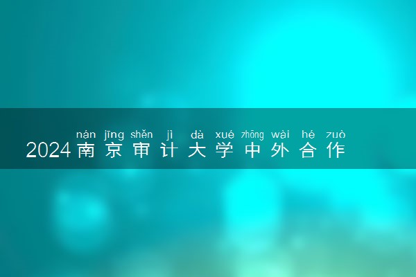 2024南京审计大学中外合作办学好不好 有哪些优势