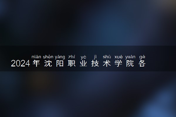 2024年沈阳职业技术学院各省招生计划及招生人数 都招什么专业