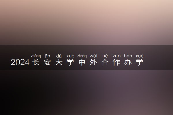 2024长安大学中外合作办学学费多少 有什么项目