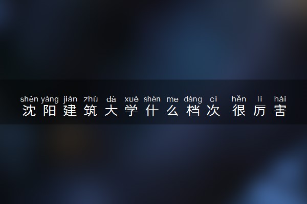沈阳建筑大学什么档次 很厉害吗
