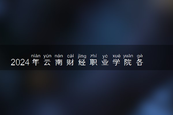 2024年云南财经职业学院各省招生计划及招生人数 都招什么专业