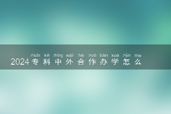 2024专科中外合作办学怎么样 难吗