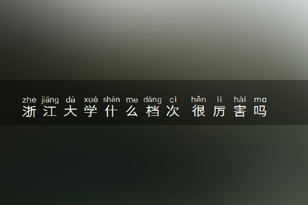 浙江大学什么档次 很厉害吗