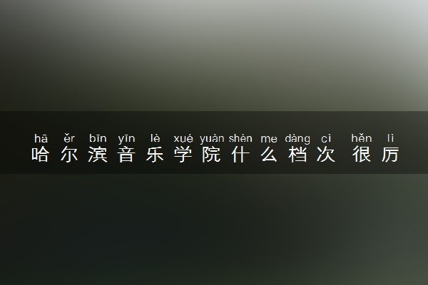 哈尔滨音乐学院什么档次 很厉害吗