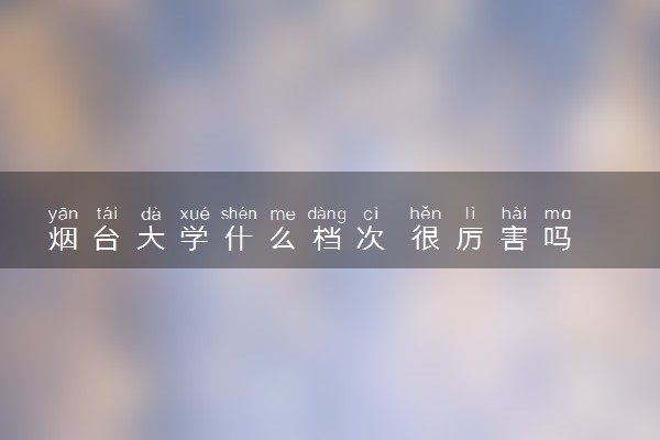 烟台大学什么档次 很厉害吗
