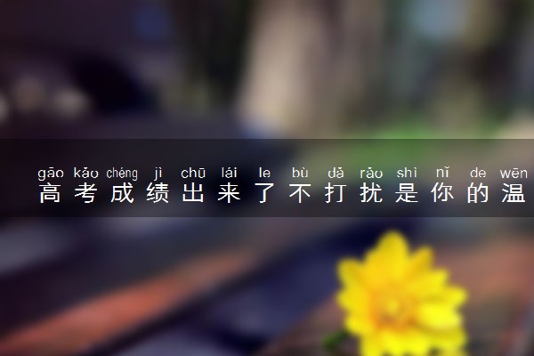 高考成绩出来了不打扰是你的温柔 默默关心就好