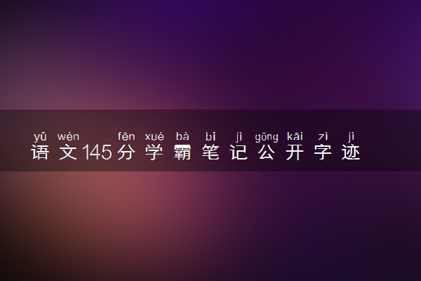语文145分学霸笔记公开字迹清秀 强调多阅读重背诵