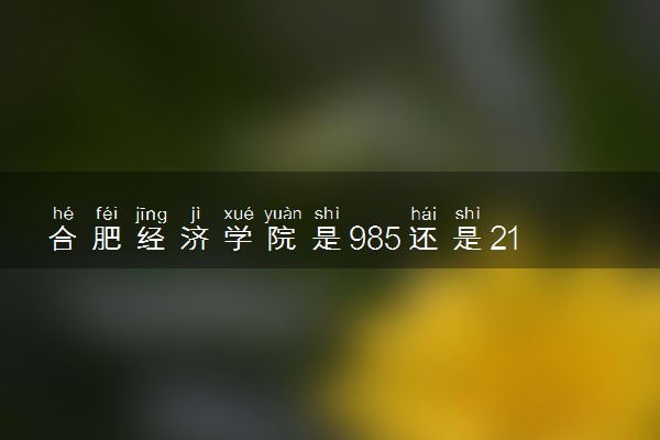 合肥经济学院是985还是211 录取分数线是多少