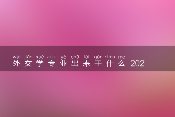 外交学专业出来干什么 2024有哪些就业方向
