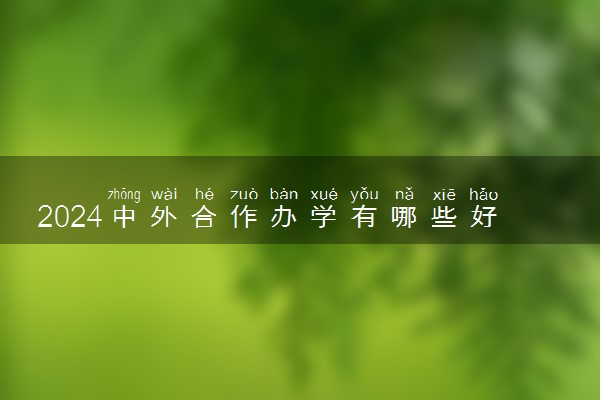 2024中外合作办学有哪些好学校和专业 哪所最好