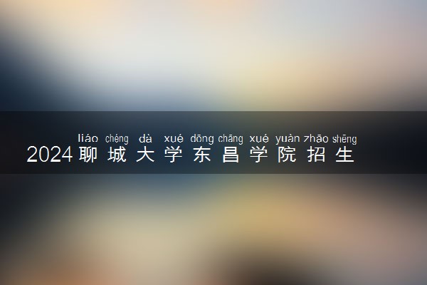 2024聊城大学东昌学院招生章程 录取规则是什么