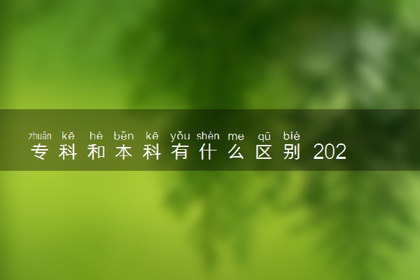 专科和本科有什么区别 2024哪个更好