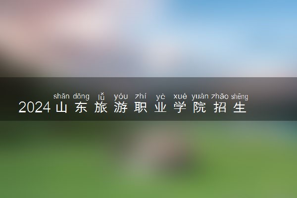 2024山东旅游职业学院招生章程 录取规则是什么