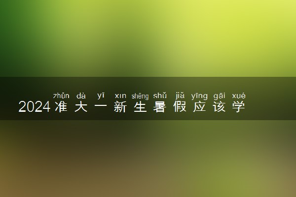 2024准大一新生暑假应该学什么 最新暑假攻略